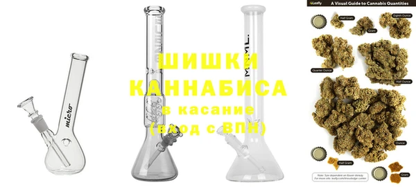 сатива Балахна