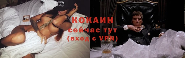 сатива Балахна