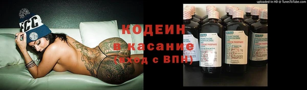 сатива Балахна