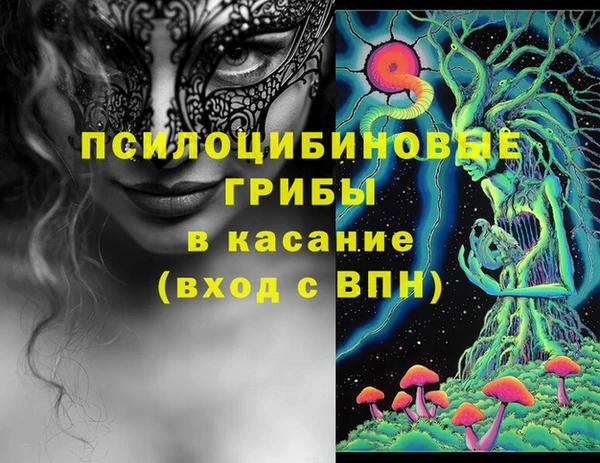 мяу мяу мука Баксан