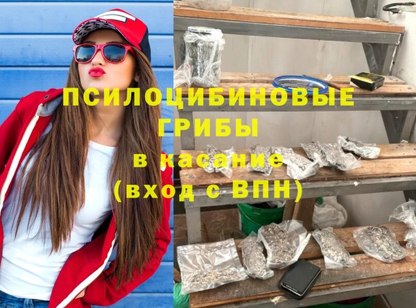 сатива Балахна