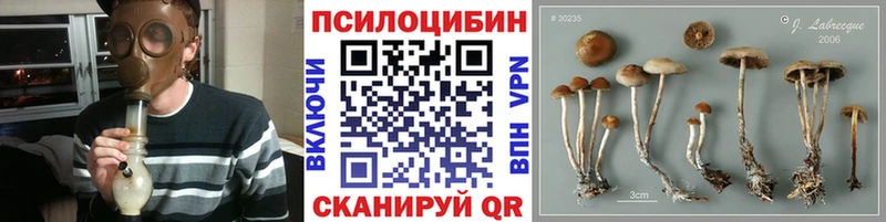магазин  наркотиков  Новодвинск  Псилоцибиновые грибы MAGIC MUSHROOMS 